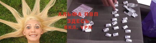 спайс Баксан