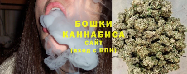 спайс Баксан