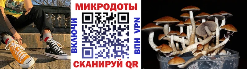 Галлюциногенные грибы GOLDEN TEACHER  Купить где  Красноперекопск 